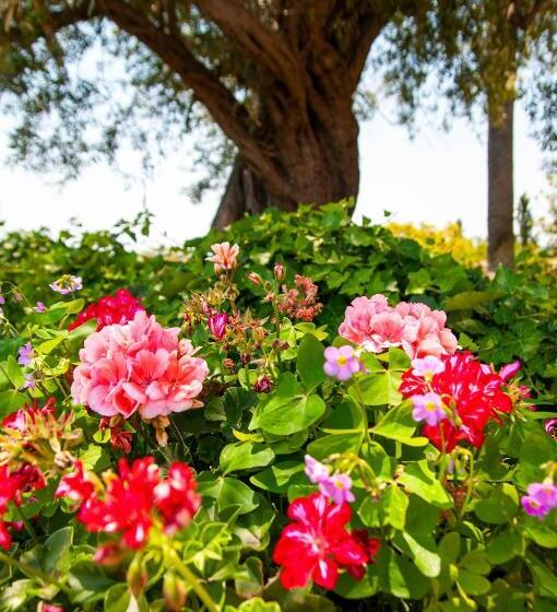 ホテル Antico Borgo Etneo Agriturismo