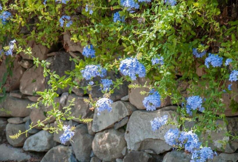 ホテル Antico Borgo Etneo Agriturismo