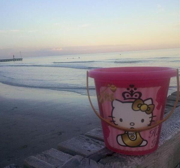 בית מלון כפרי Astor