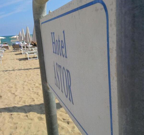 בית מלון כפרי Astor