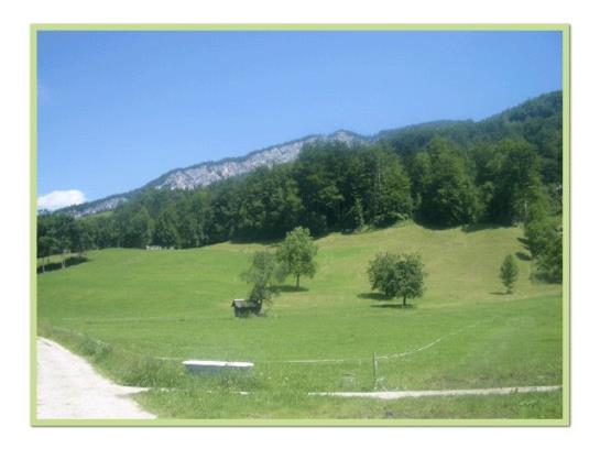 Bauernhof Agnes Straubinger Vulgo Schoetz