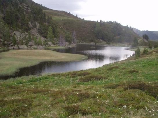 Bauernhof Angererhof