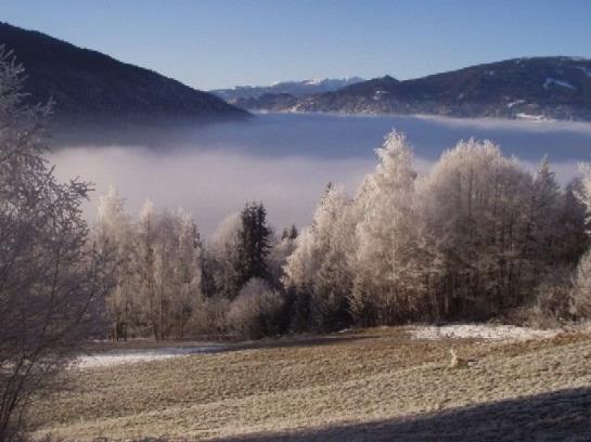Bauernhof Angererhof