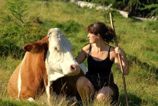 Bauernhof Biohof Seidl