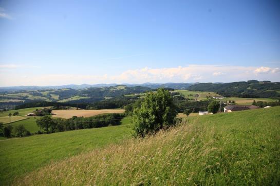 Bauernhof Familie Haunschmid