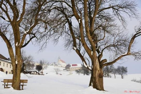 Bauernhof Familie Haunschmid