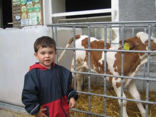 Bauernhof Familie Sepp Und Sabine Koeck