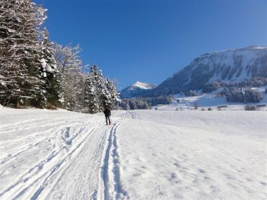 Bauernhof Fp-bauernhof Zimmermann