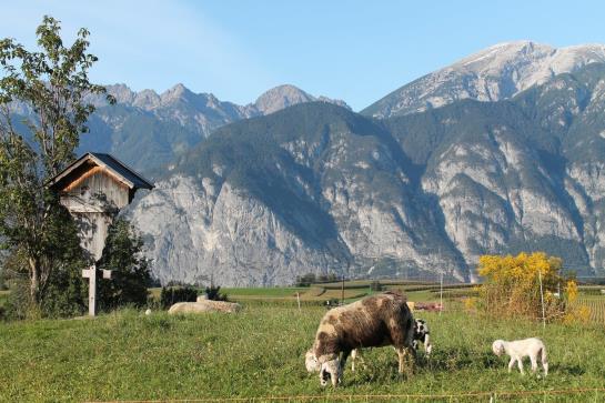 Bauernhof Hepperger - Funerhof