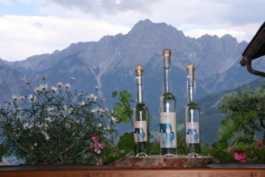 Bauernhof Obernigglerhof