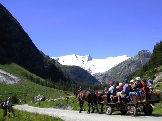 Bauernhof Ruggenthalerhof