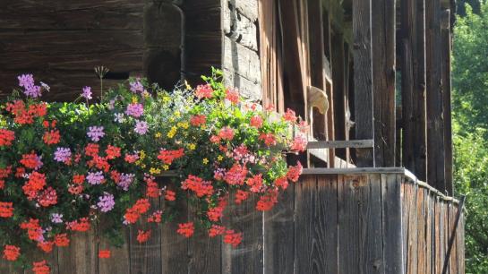 Bauernhof Ruggenthalerhof