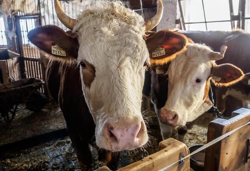 בית מלון כפרי Bauernhof Untergrafer