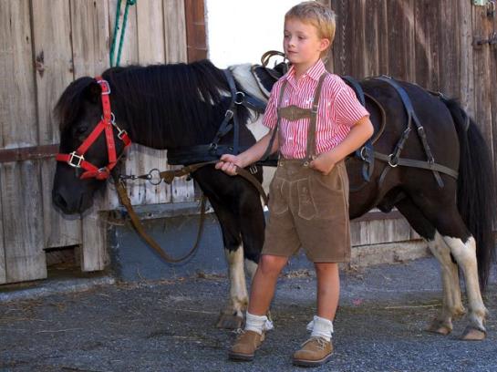 Bauernhof  Untergrub