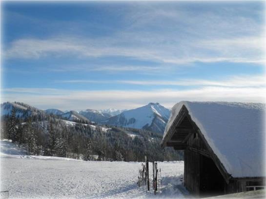 Bauernhof Vorderschwandtgut