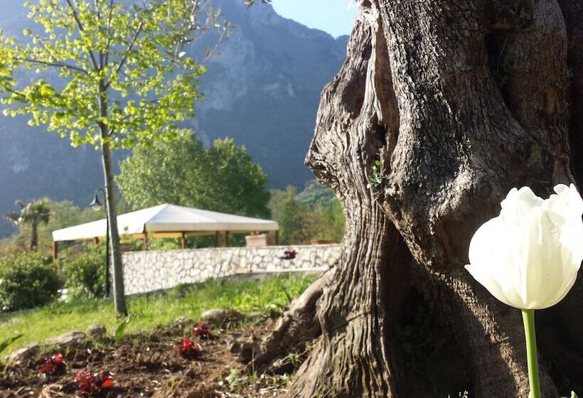 Отель Borgo Antico   Poggiòlo Del Principe