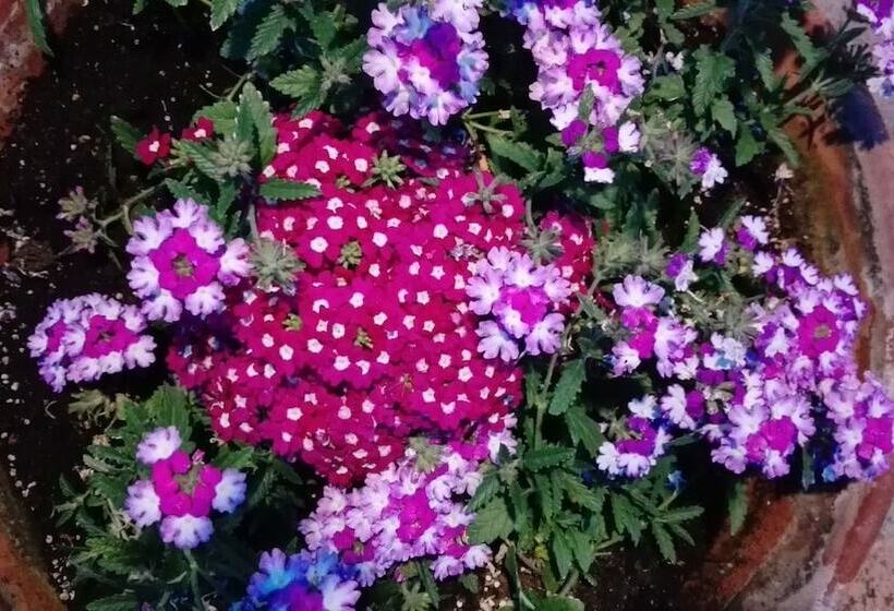 Отель Borgo Antico   Poggiòlo Del Principe