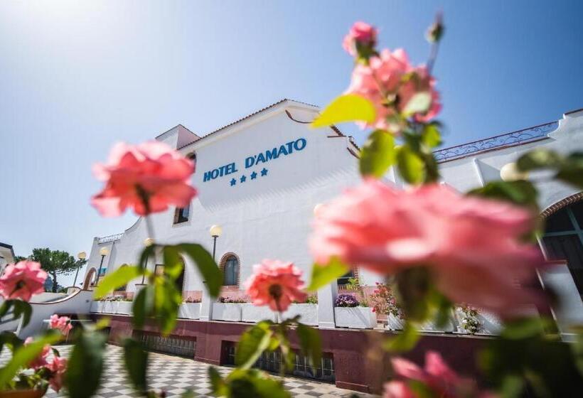 فندق D'amato