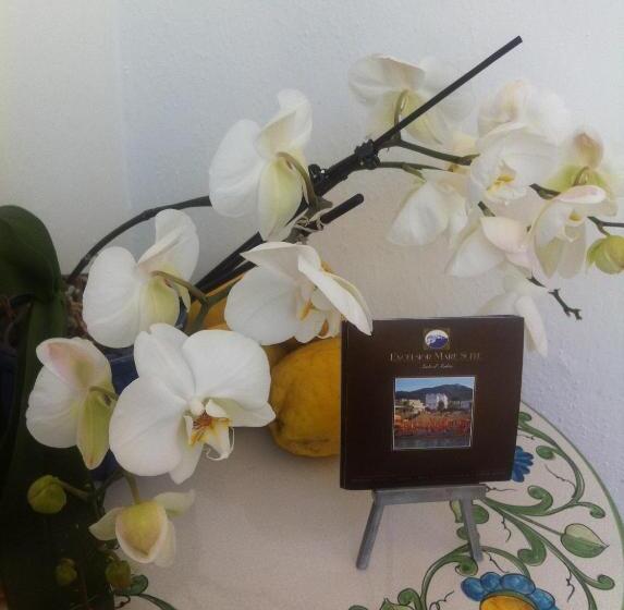 Отель Excelsior Mare Suite