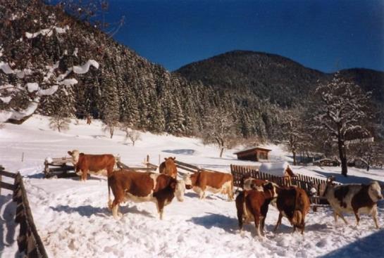 בית מלון כפרי Ferienhof Neusacher Moser