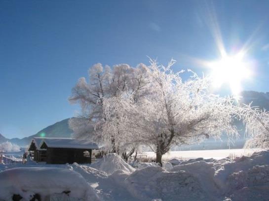 בית מלון כפרי Ferienhof Neusacher Moser