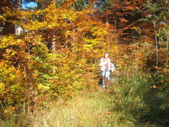 Ferienhof Nussbaumer