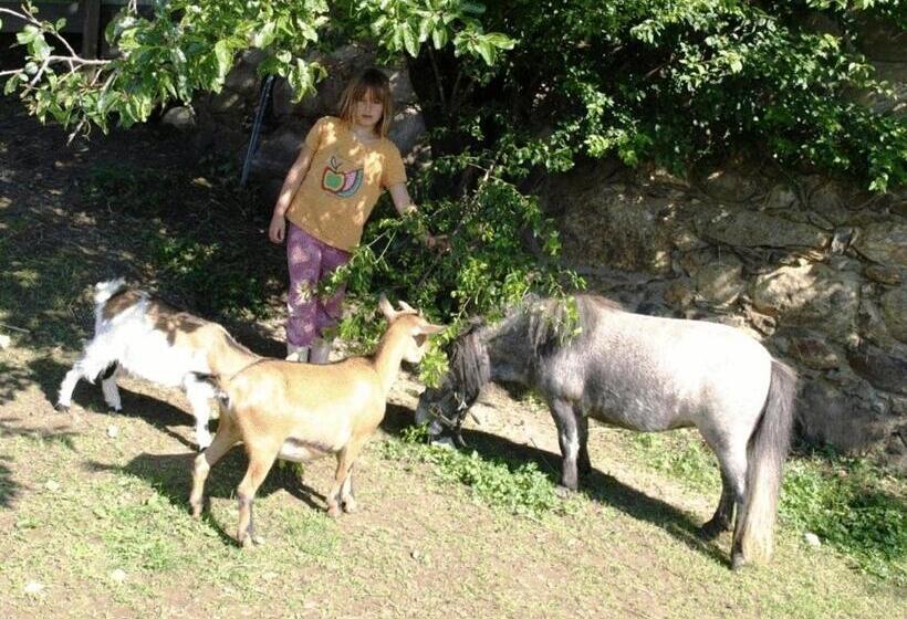 בית מלון כפרי Ferienwohnung Am Oberrainerhof