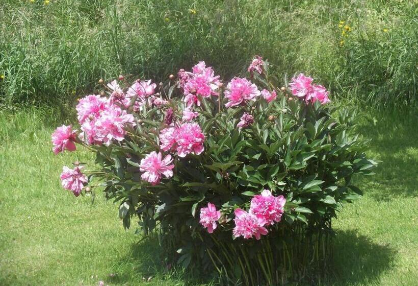 호텔 Garni Stabauer