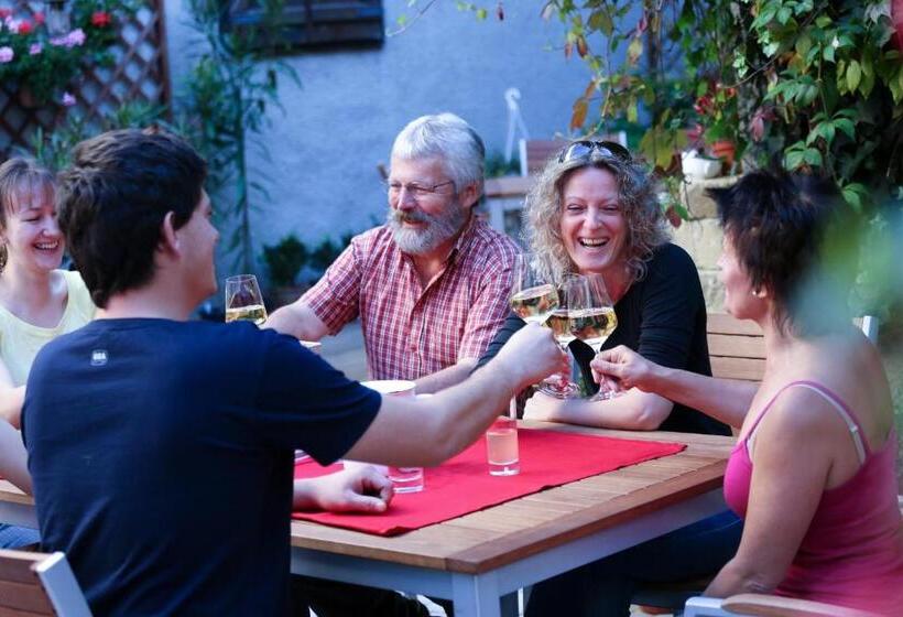 בית מלון כפרי Gasthof & Appartementhaus Meyer