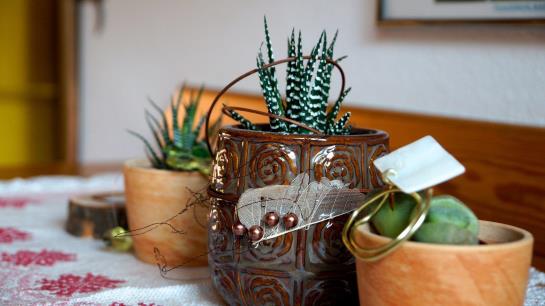 住宿加早餐  Gasthof Pension Kirchenwirt