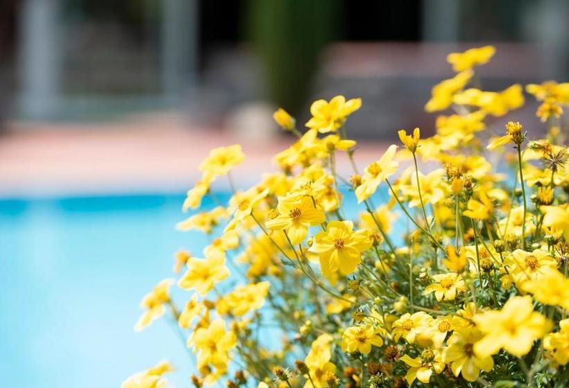 Glanzhof Hotel & Apartments