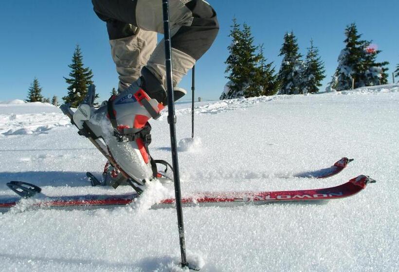 Отель Grundnerhof