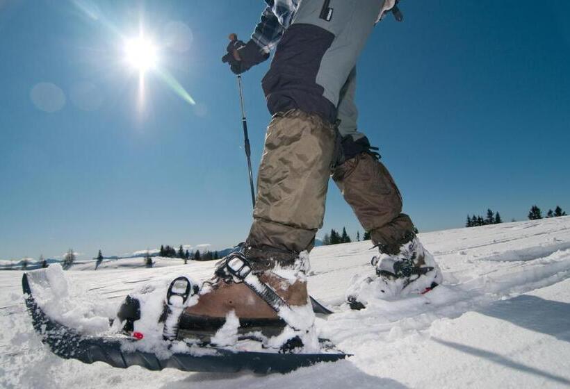 Отель Grundnerhof