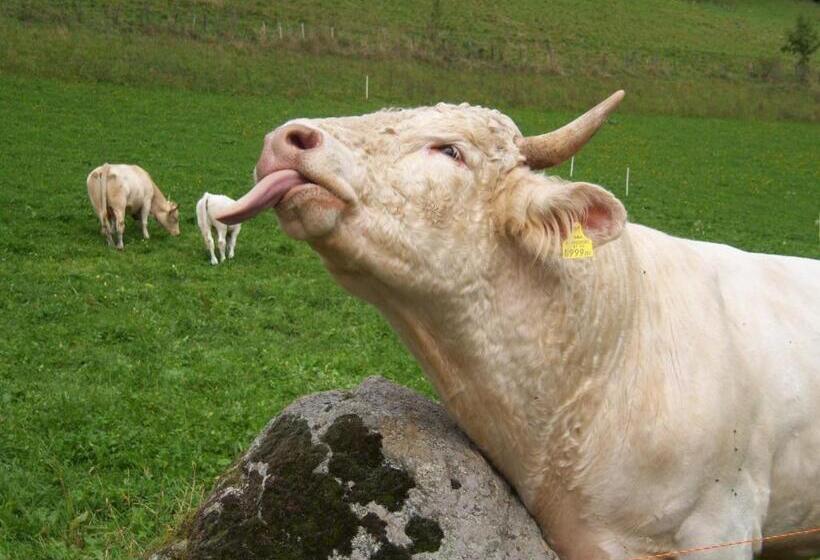 Отель Grundnerhof