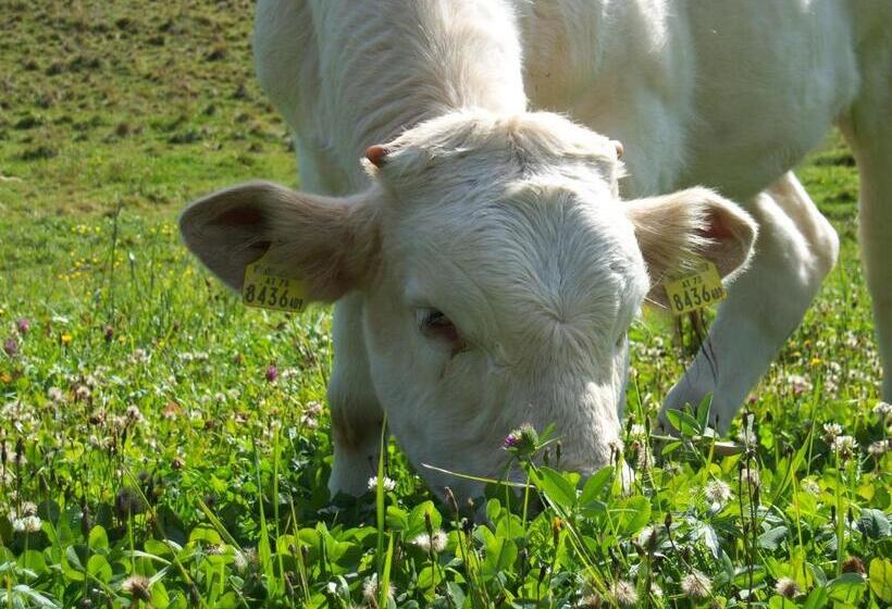 Отель Grundnerhof