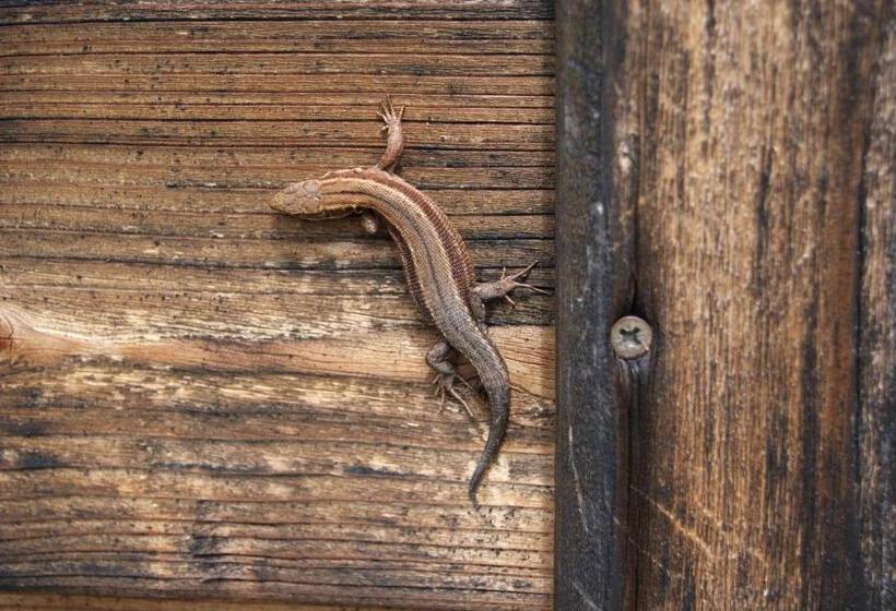 Отель Grundnerhof