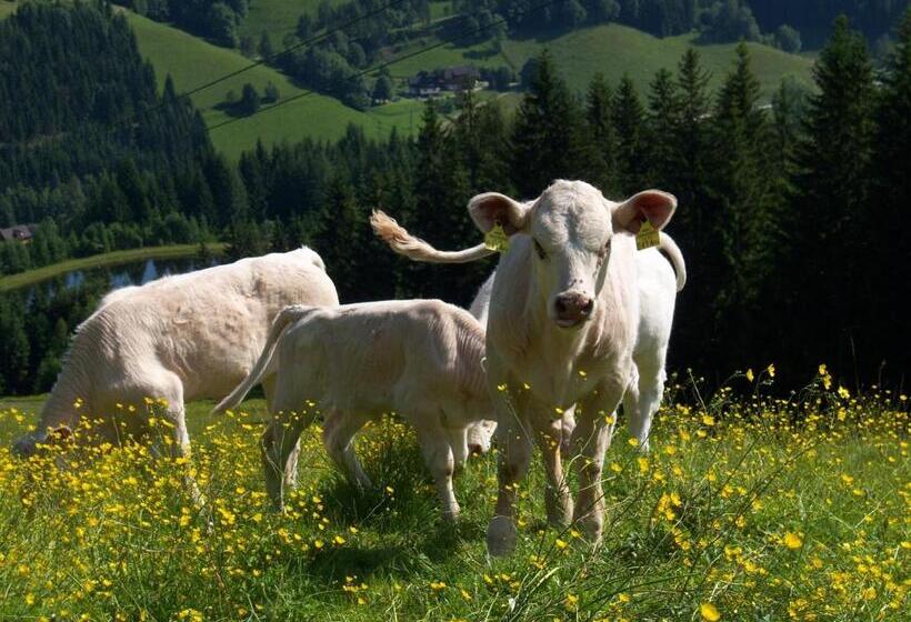 Отель Grundnerhof