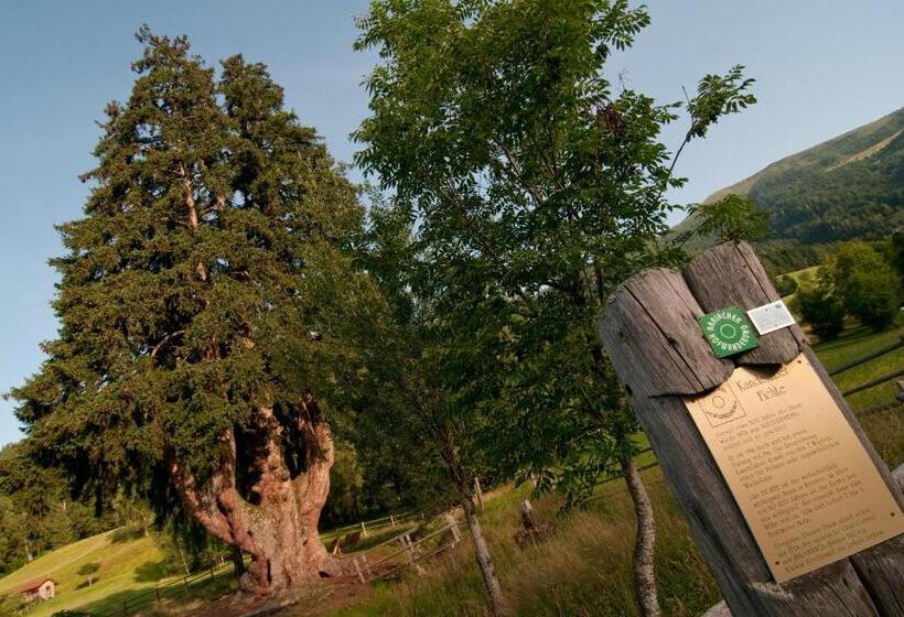 Отель Grundnerhof