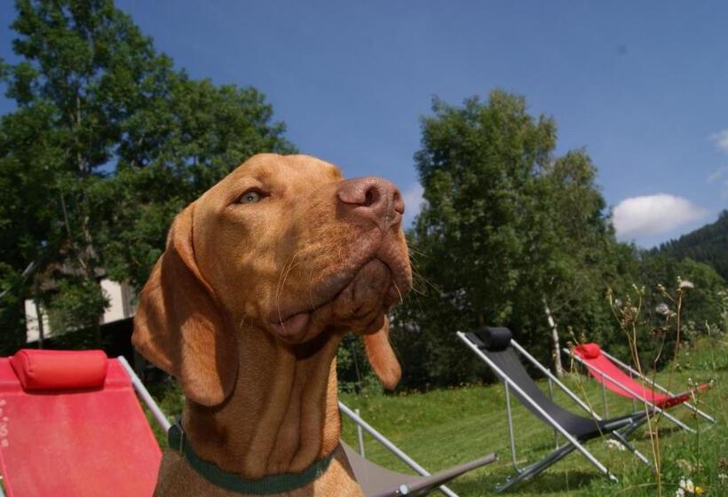 Отель Grundnerhof