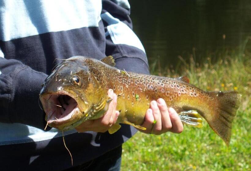 Отель Grundnerhof