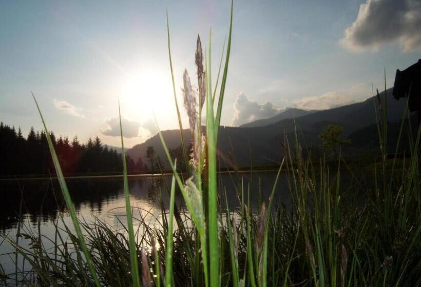 Отель Grundnerhof