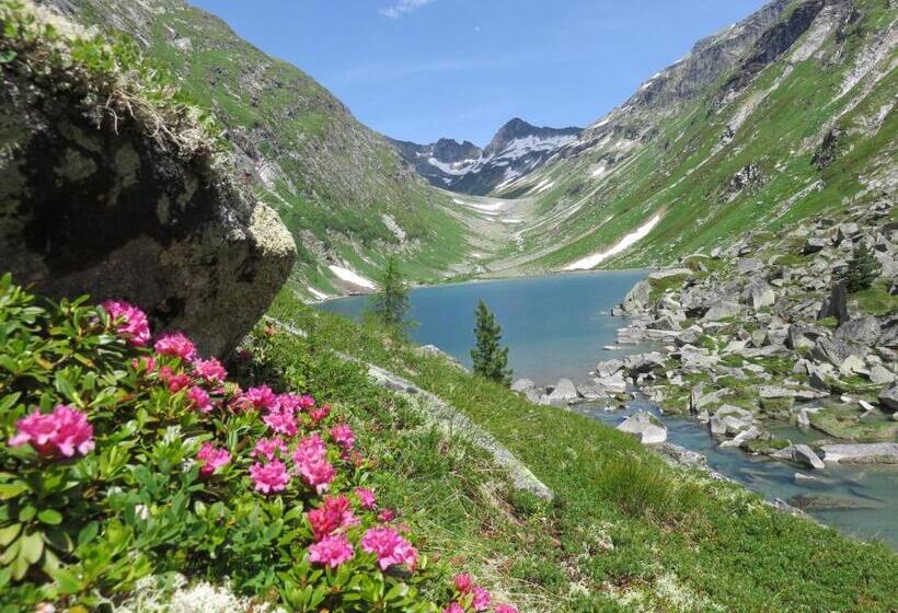 בית מלון כפרי Gästehaus Zedlacherhof