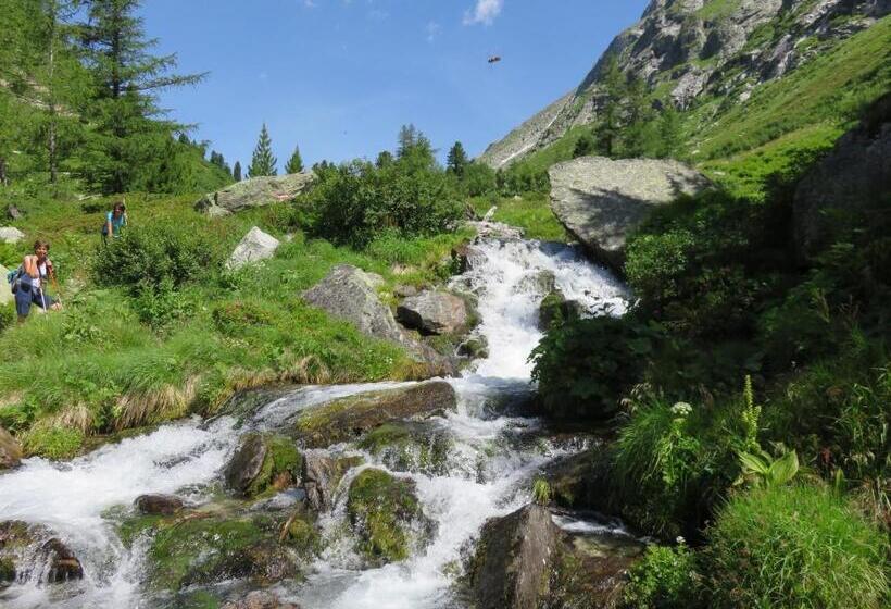 בית מלון כפרי Gästehaus Zedlacherhof