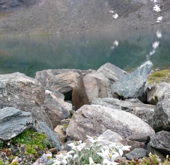 酒店 Gästehaus Zedlacherhof