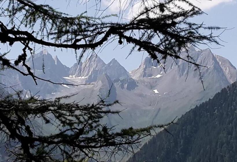 酒店 Gästehaus Zedlacherhof