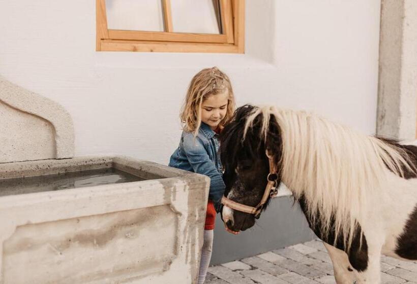 בית מלון כפרי Gut Berg Natur