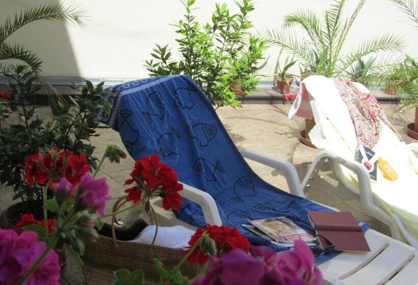 בית מלון כפרי Hallerhof