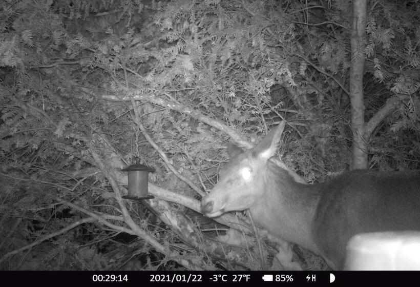 Отель Haus Anni