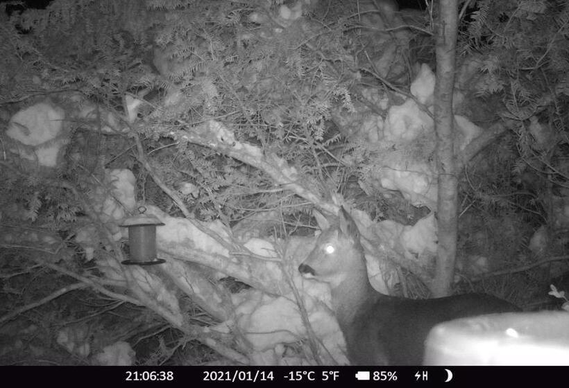 Отель Haus Anni