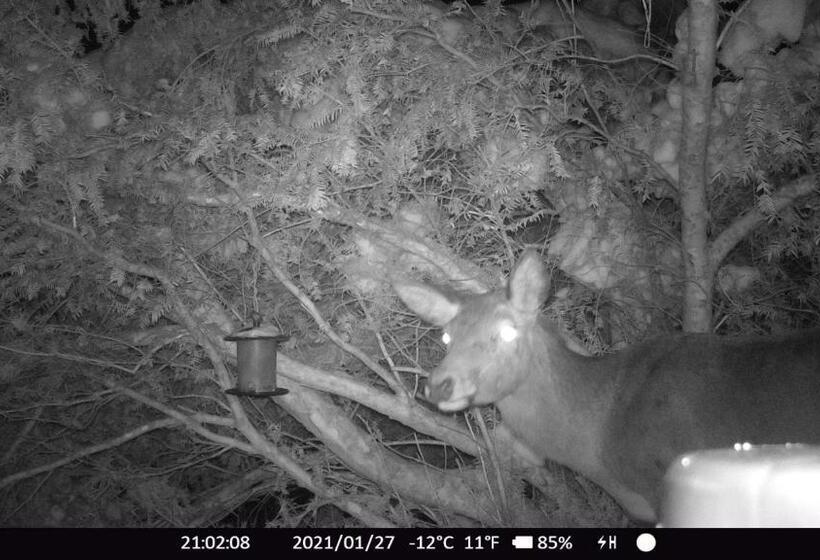 Отель Haus Anni